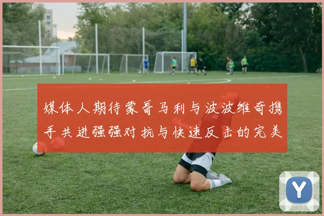 媒体人期待蒙哥马利与波波维奇携手共进强强对抗与快速反击的完美结合