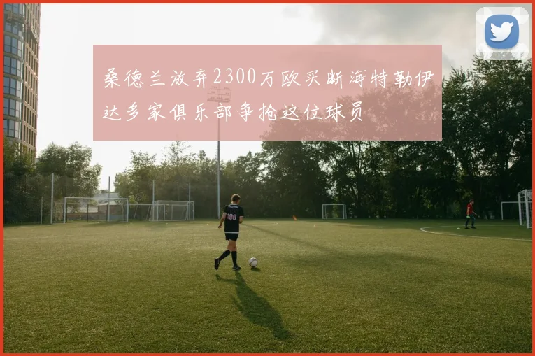 桑德兰放弃2300万欧买断海特勒伊达多家俱乐部争抢这位球员