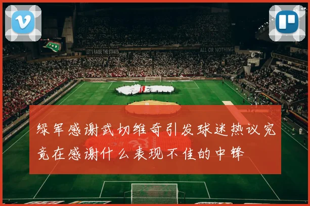 绿军感谢武切维奇引发球迷热议究竟在感谢什么表现不佳的中锋
